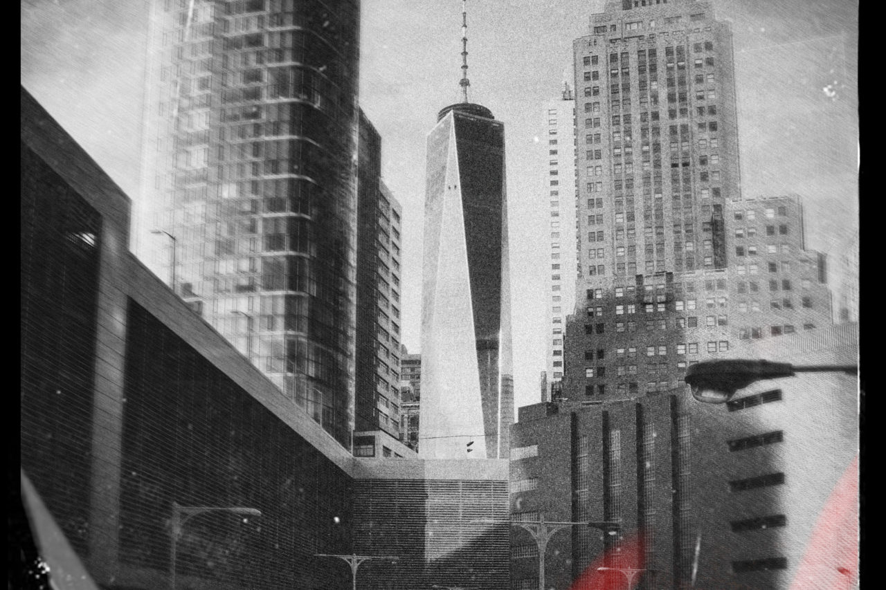 dean rose 767931 unsplash