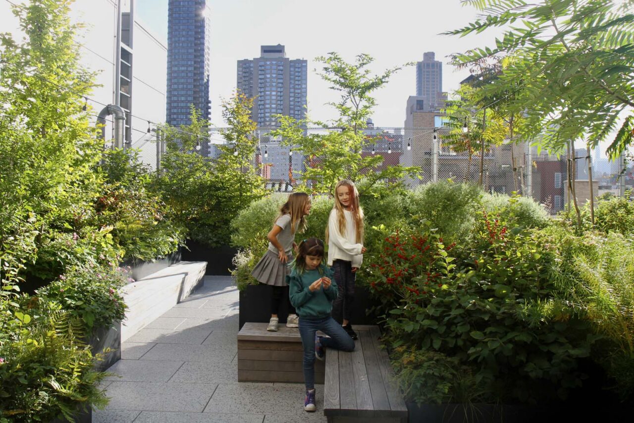 Image by: New York Green Roofs