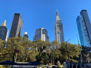 Street level view, looking upward slightly, of Madison Square Park