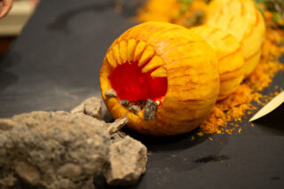 The Mighty Carbon Cruncher