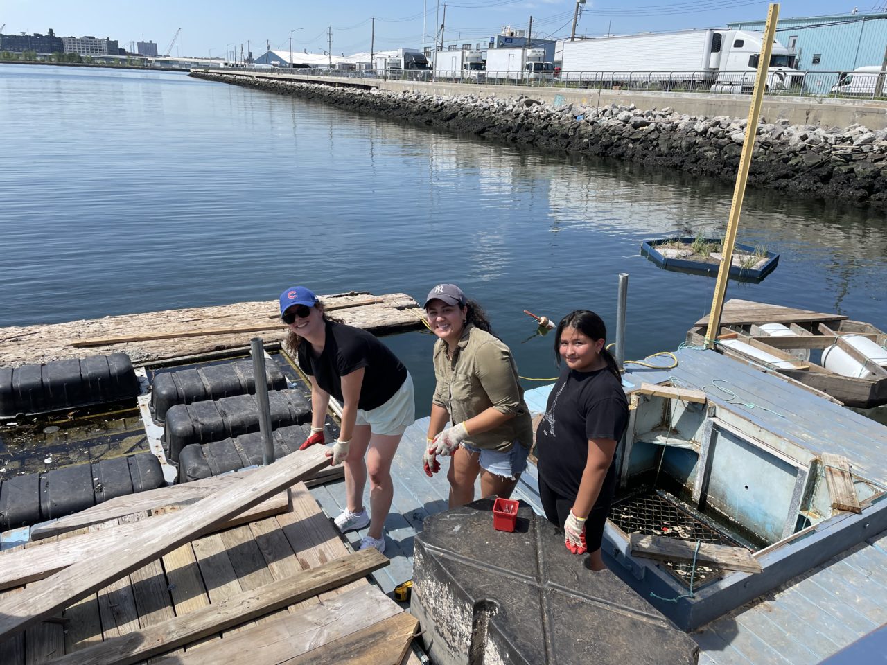 220723 WIA RETI CommunityServiceDay (4)