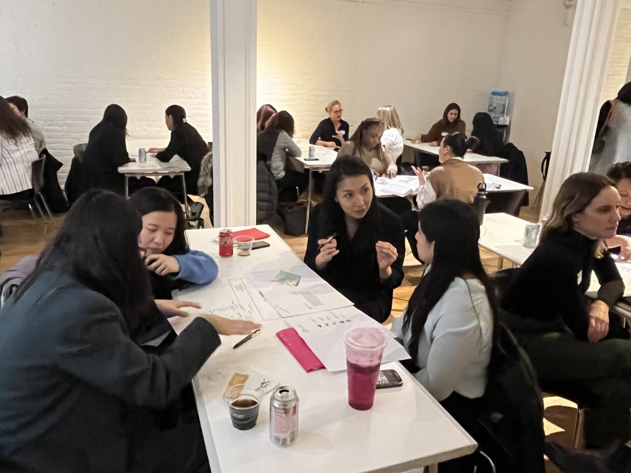 230223 WIA PractitionerStudent Mentoring (13)