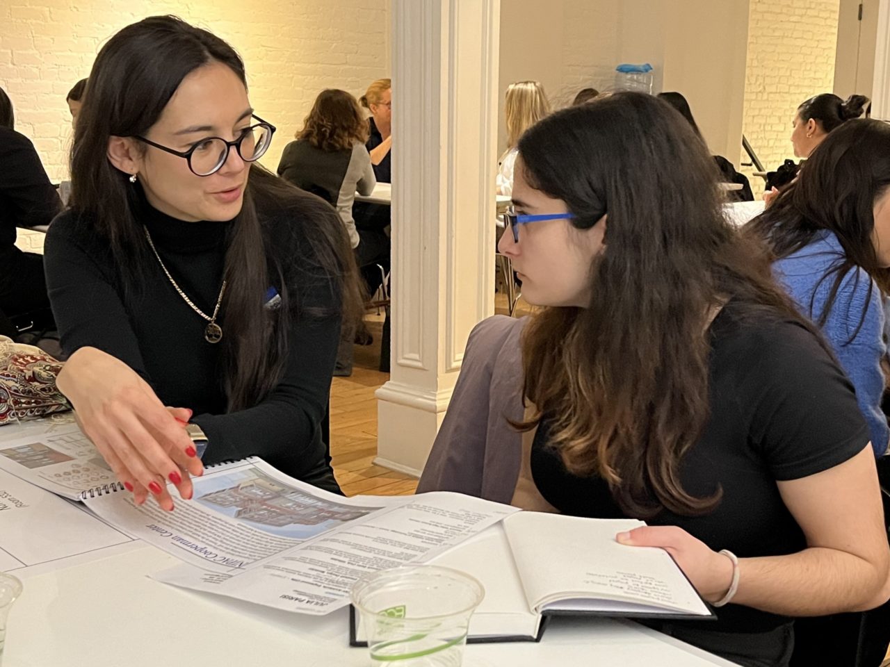 230223 WIA PractitionerStudent Mentoring (14)