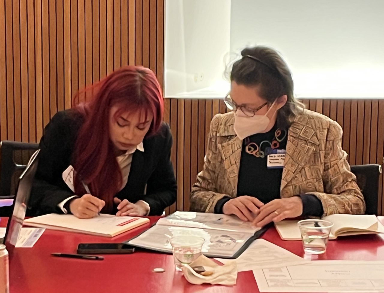 230223 WIA PractitionerStudent Mentoring (18)