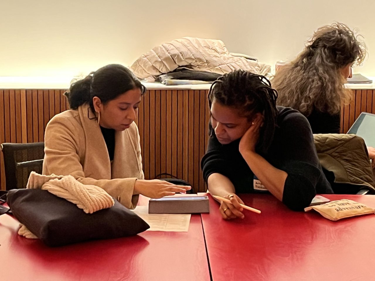 230223 WIA PractitionerStudent Mentoring (3)