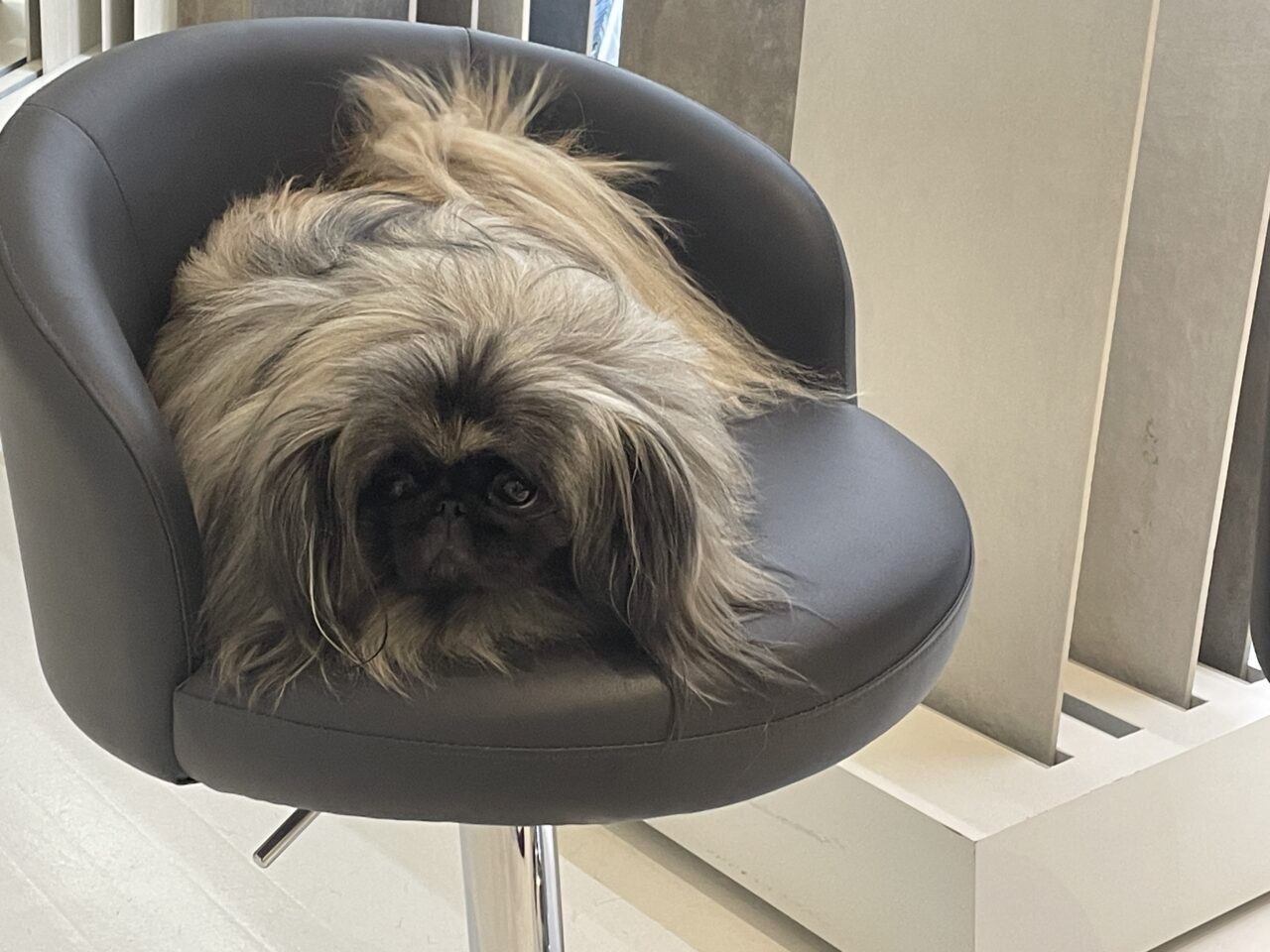 240321 AIANY WIA Inspire Inclusion (5)